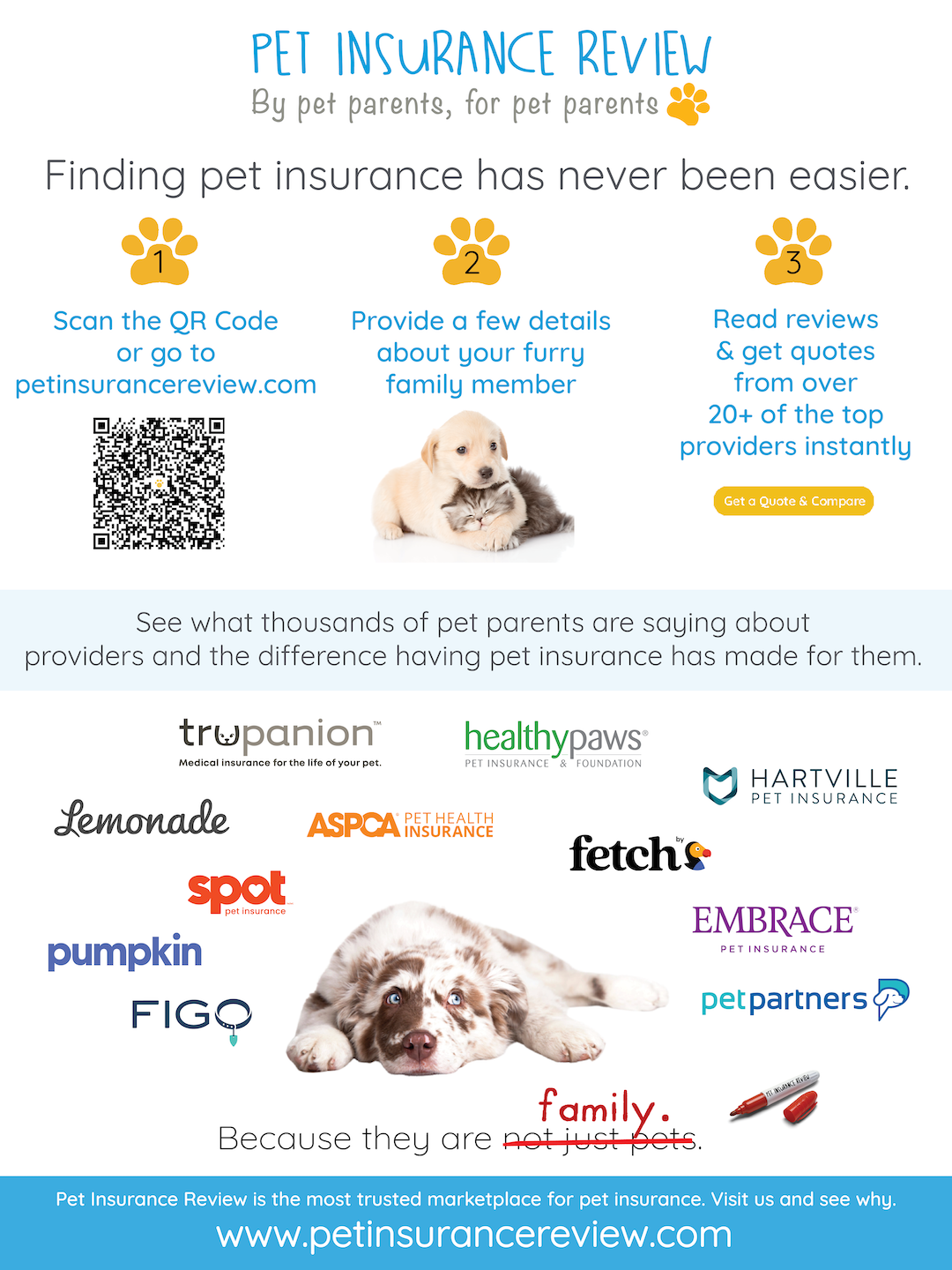 aaa pet insurance review